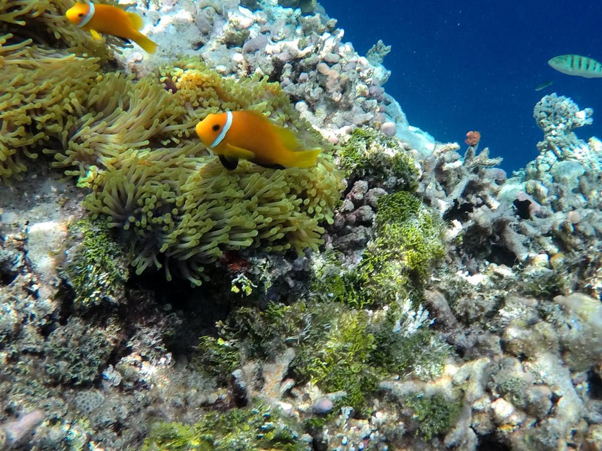 Atoll Residence Dhangethi Exteriör bild